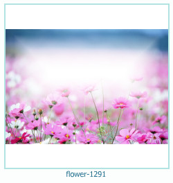 цветочная фоторамка 1291
