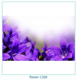 цветочная фоторамка 1368