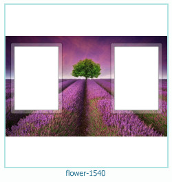 цветочная фоторамка 1540
