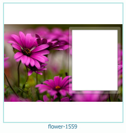 цветочная фоторамка 1559