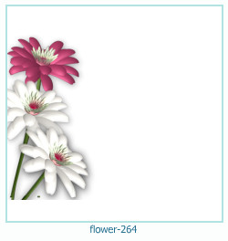 цветочная фоторамка 264