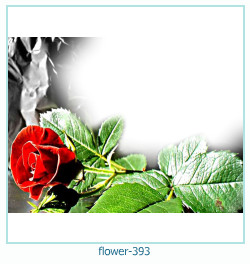 цветочная фоторамка 393