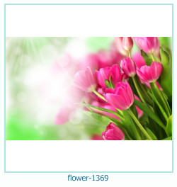 цветочная фоторамка 1369