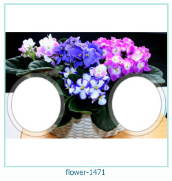 цветочная фоторамка 1471
