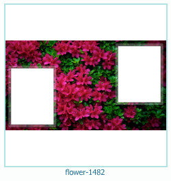 цветочная фоторамка 1482