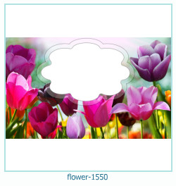 цветочная фоторамка 1550