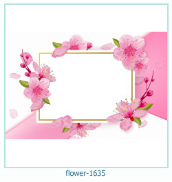 цветочная фоторамка 1635