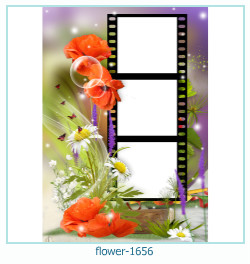 цветочная фоторамка 1656