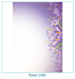 цветочная фоторамка 1800