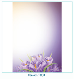 цветочная фоторамка 1801