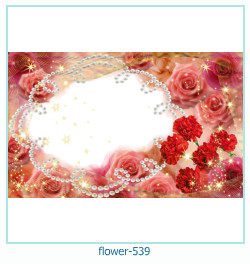 цветочная фоторамка 539
